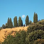 A'loro טרנובה ברצ'וליני