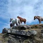 A'loro 3* טרנובה ברצ'וליני