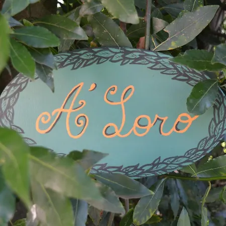 A'loro Bed and Breakfast Terranuova Bracciolini