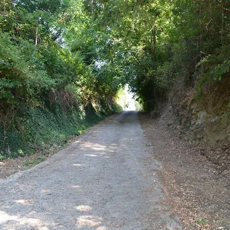 A'loro Terranuova Bracciolini