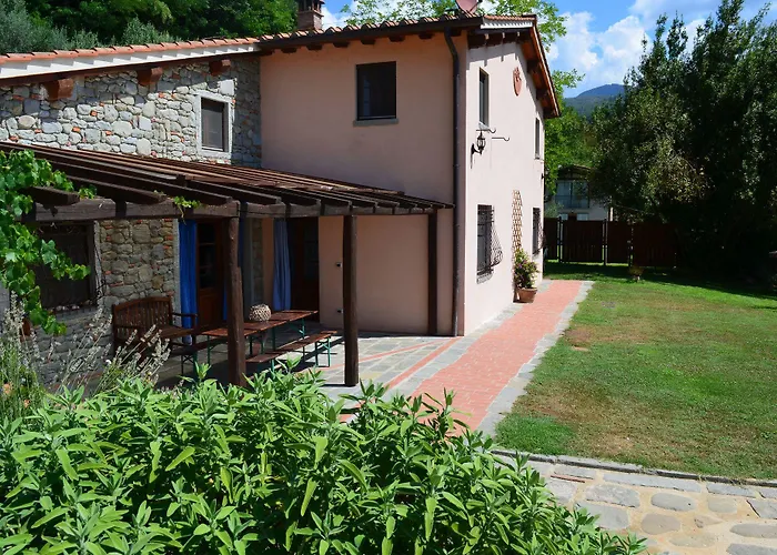 A'loro 테라누오바 브라씨올리니