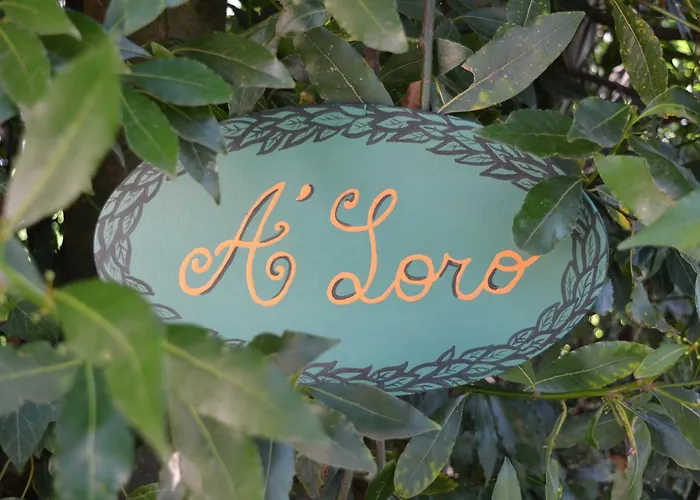 A'loro B&B 테라누오바 브라씨올리니