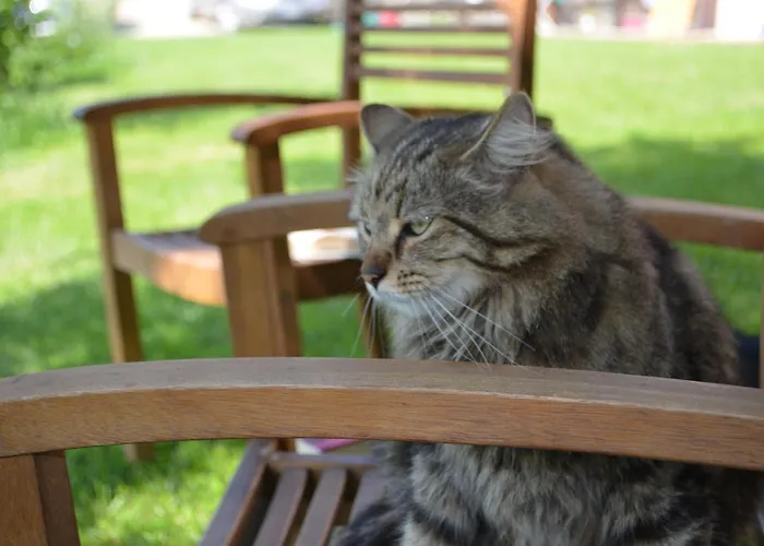 B&B A'loro 테라누오바 브라씨올리니