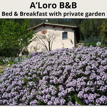 A'loro Bed & Breakfast