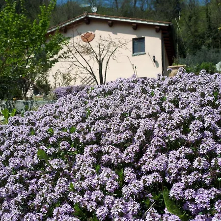 A'loro 3* Террануова-Браччолини