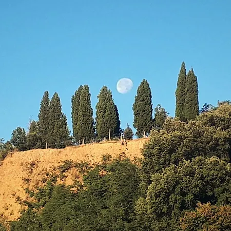 A'loro Terranuova Bracciolini