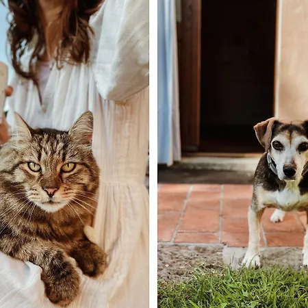 A'loro Bed & Breakfast 3*