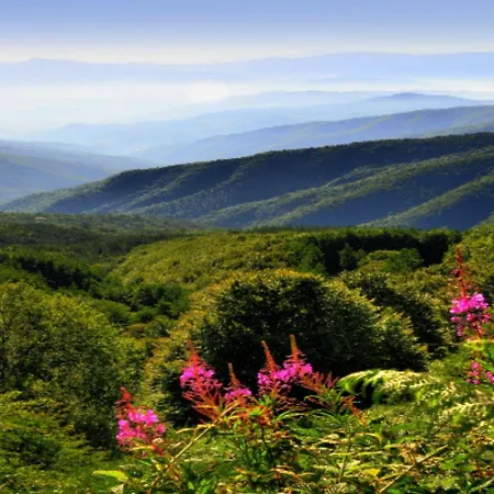 Bed & Breakfast A'loro