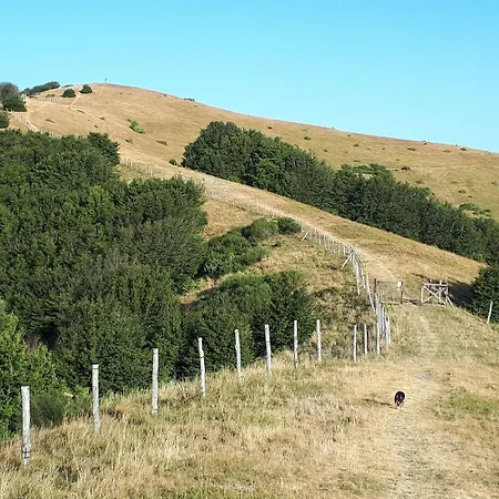 Bed & Breakfast A'loro Terranuova Bracciolini