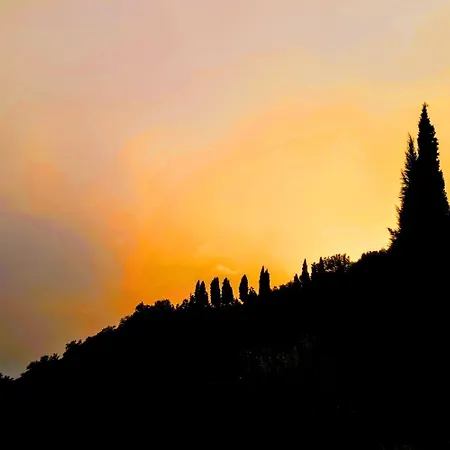 A'loro Terranuova Bracciolini