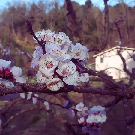 A'loro Bed & Breakfast Terranuova Bracciolini