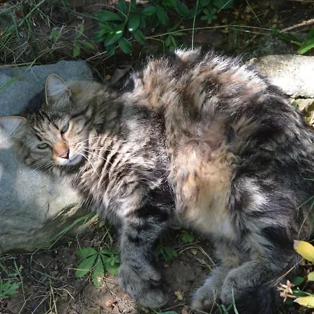 A'loro 3* Terranuova Bracciolini