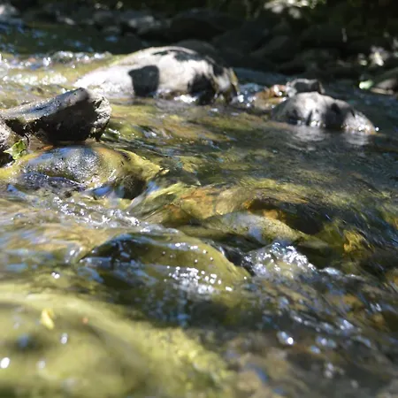 A'loro Bed & Breakfast 3*