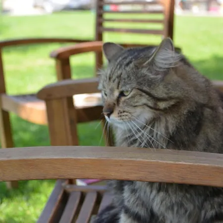 Bed & Breakfast A'loro Terranuova Bracciolini