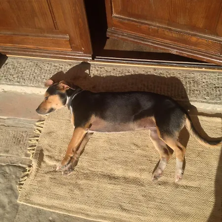 Bed & Breakfast A'loro Terranuova Bracciolini