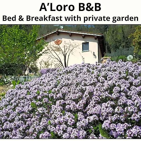 Oda ve Kahvaltı A'loro