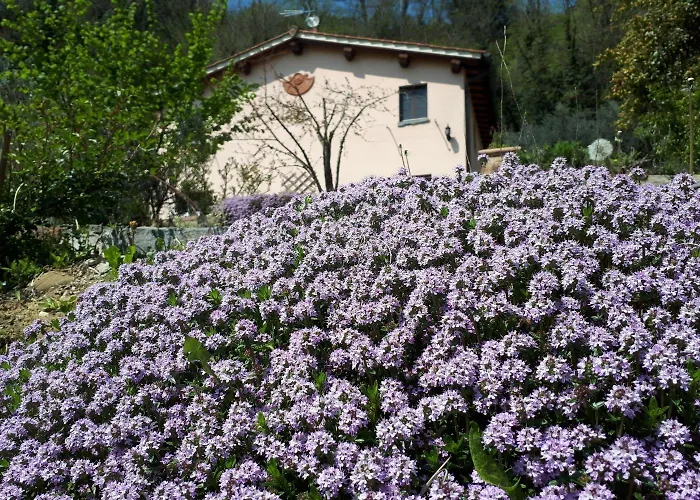 A'loro 3* Террануова-Браччолини