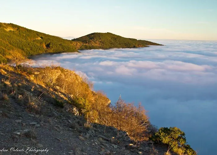 A'loro Террануова-Браччолини
