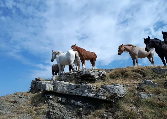 A'loro 3* Террануова-Браччолини