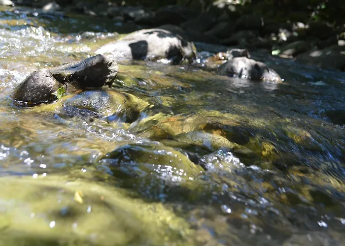 A'loro Отель типа 