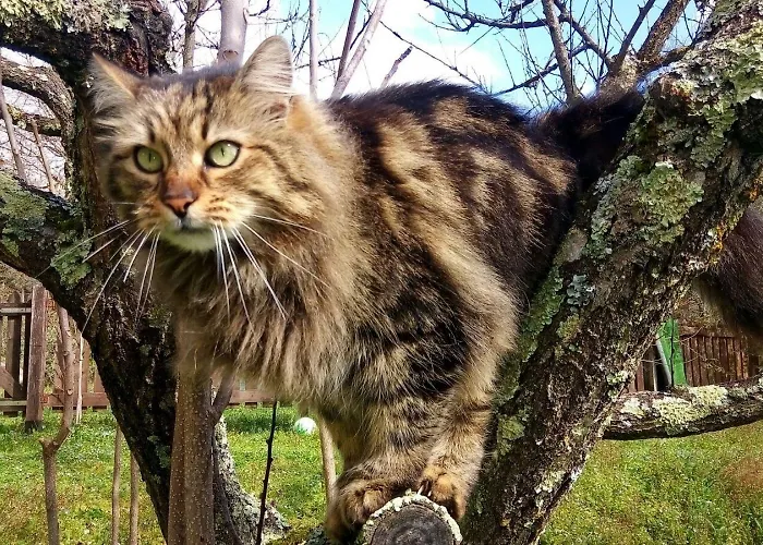 Bed and Breakfast A'loro 3*