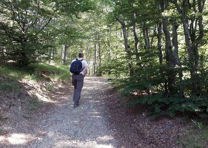 Bed and Breakfast A'loro Terranuova Bracciolini