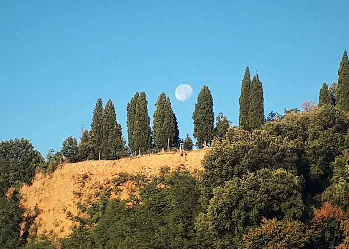A'loro Terranuova Bracciolini