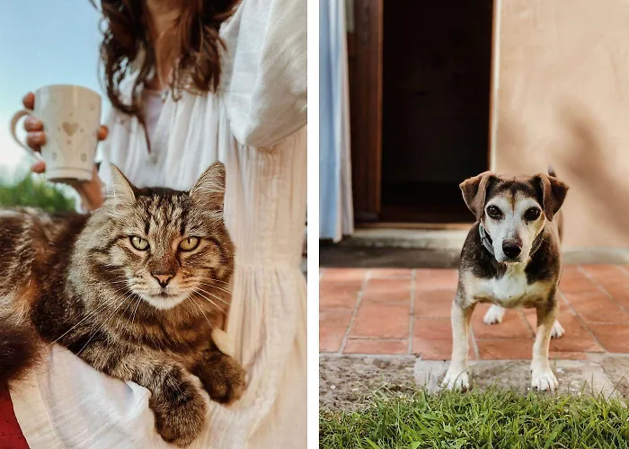 A'loro Bed and Breakfast 3*