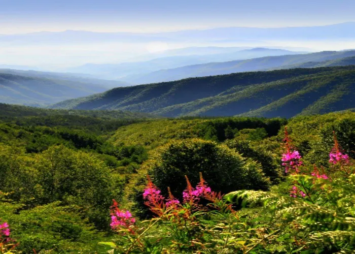 Bed and Breakfast A'loro