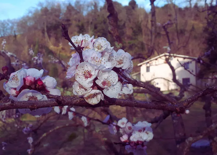 A'loro Bed and Breakfast Terranuova Bracciolini