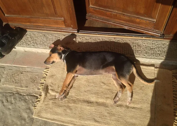 Bed and Breakfast A'loro Terranuova Bracciolini